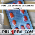 Para Qué Se Utiliza La Gelatina Kamagra 06